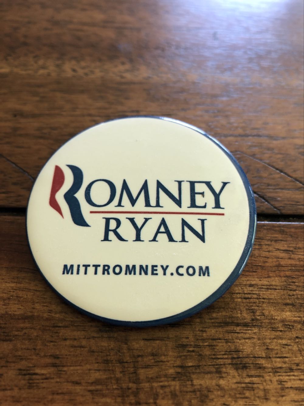 Fantasmic - Malificent Snake