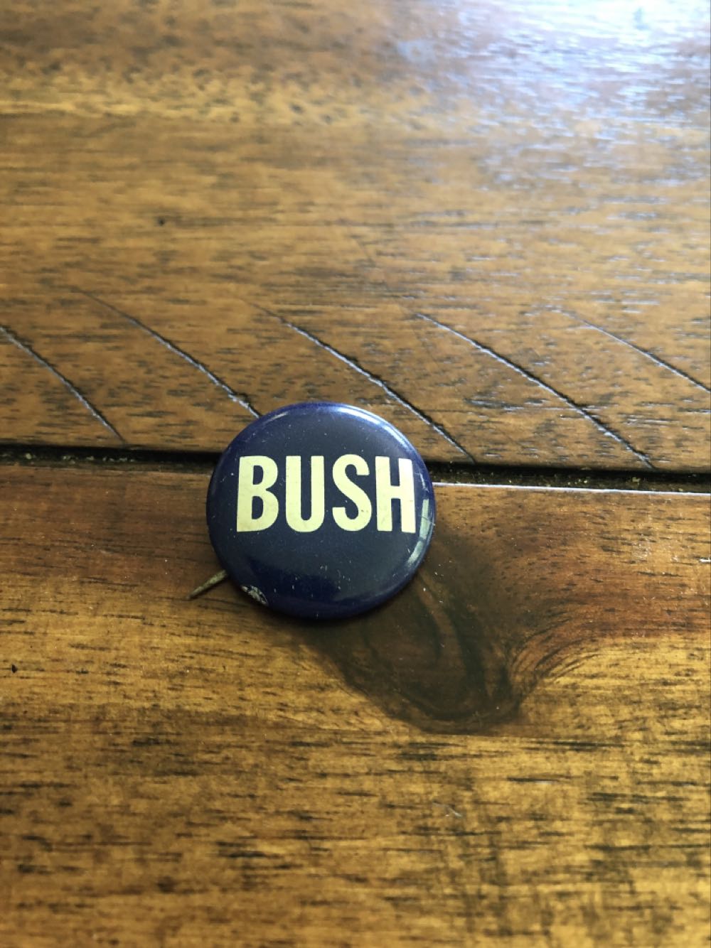 Giant Oceanic Manta Ray Mermaid