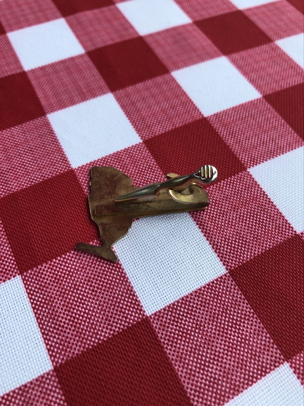 RFK-A  pin collectible - Main Image 2