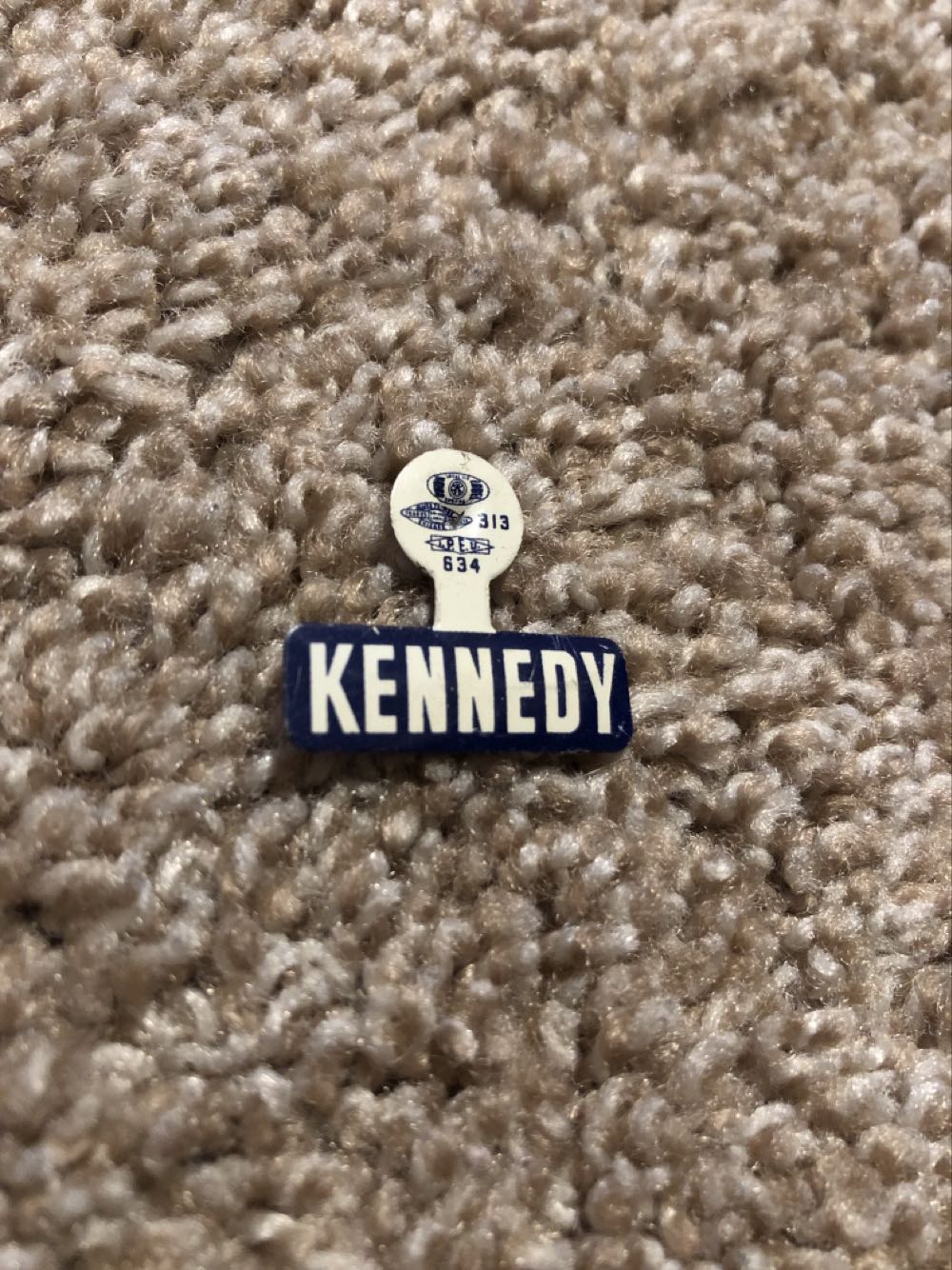 Disneyland 65th Anniversary