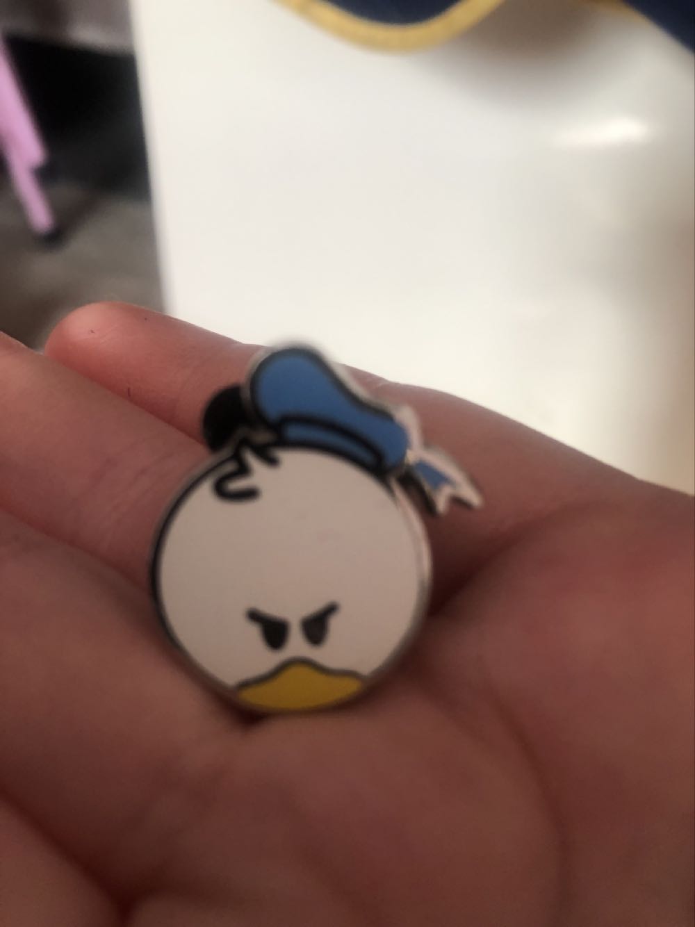 American State - Nevada Daisy Silver State