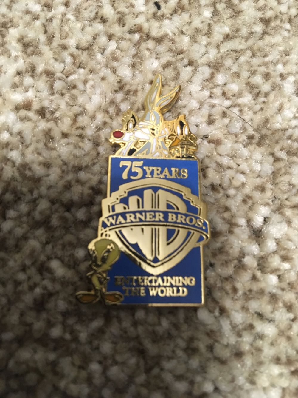 Hidden Mickey Completer Pin - Fast Pass - Peter Pan’s Flight