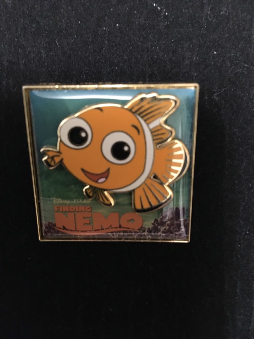 Please Use She/Her Pronouns