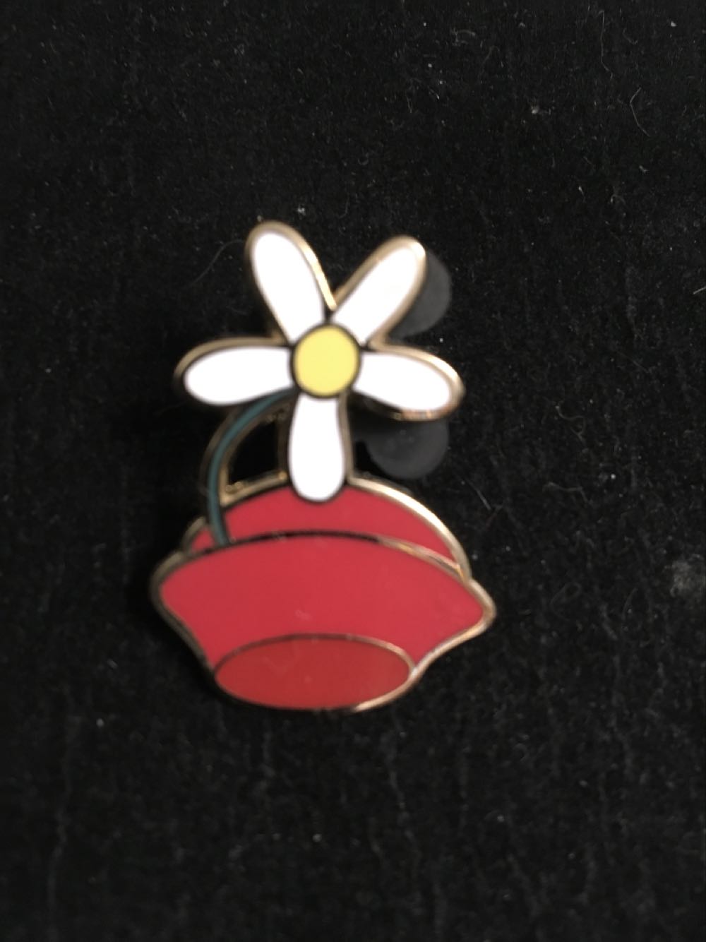 Cincinnati Zoo: White Tiger