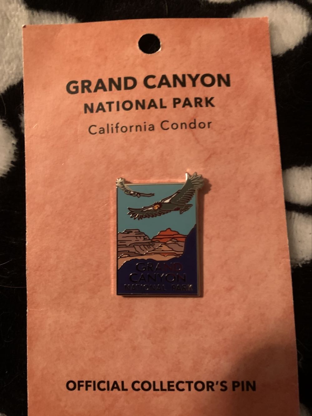 Universal Studios - T2 3D