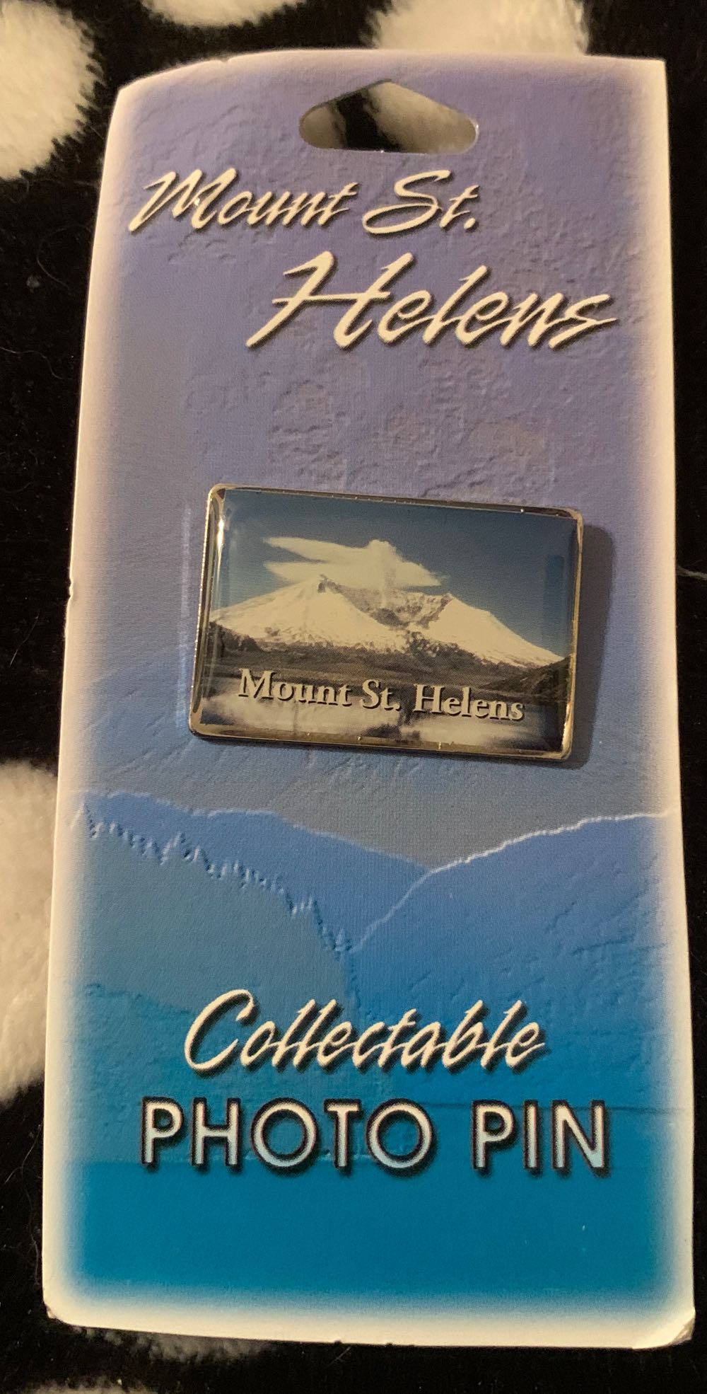 Disney Cruise Line - Whole Gang 