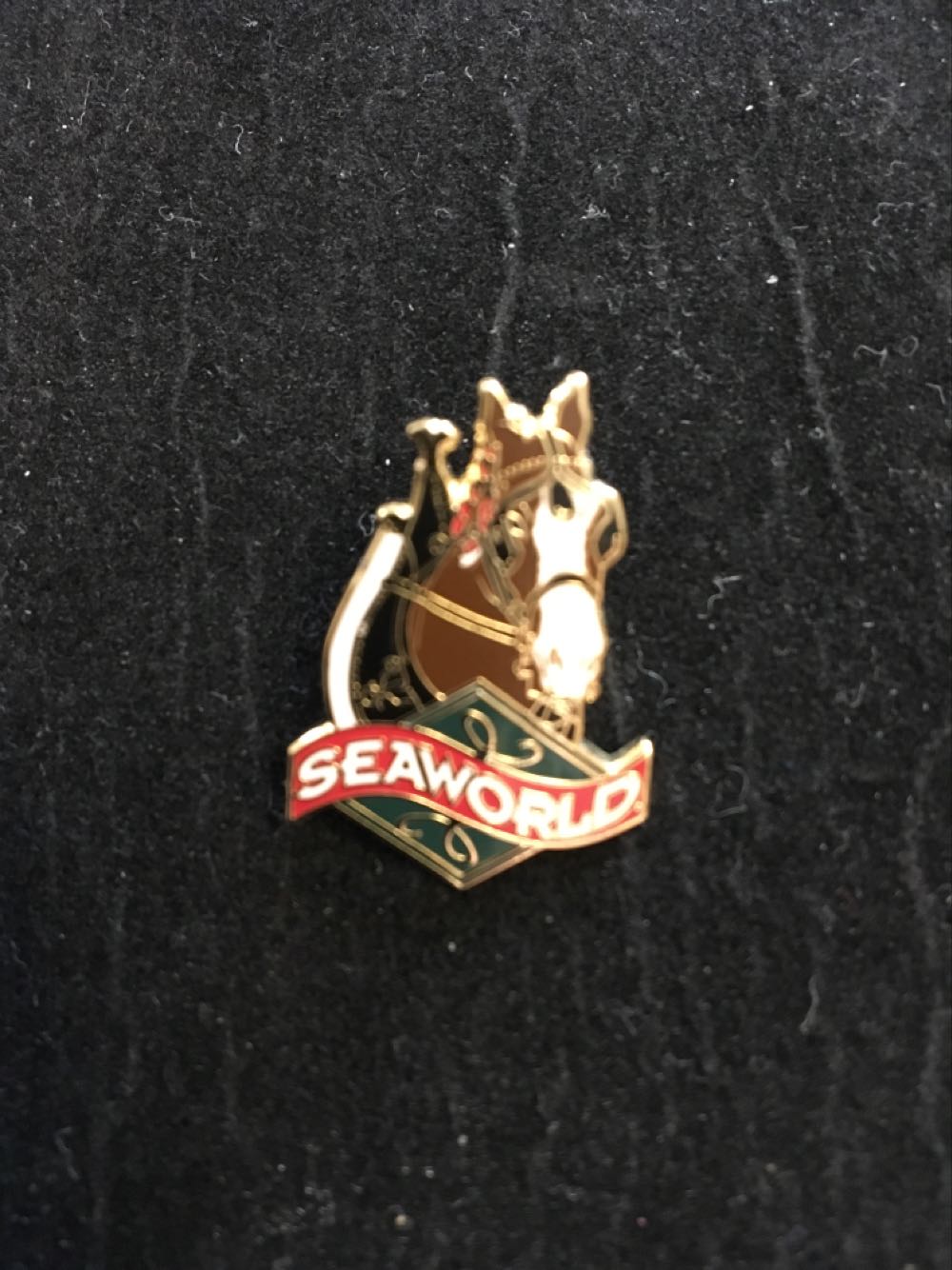 Seaworld - Shire Horse  pin collectible - Main Image 2
