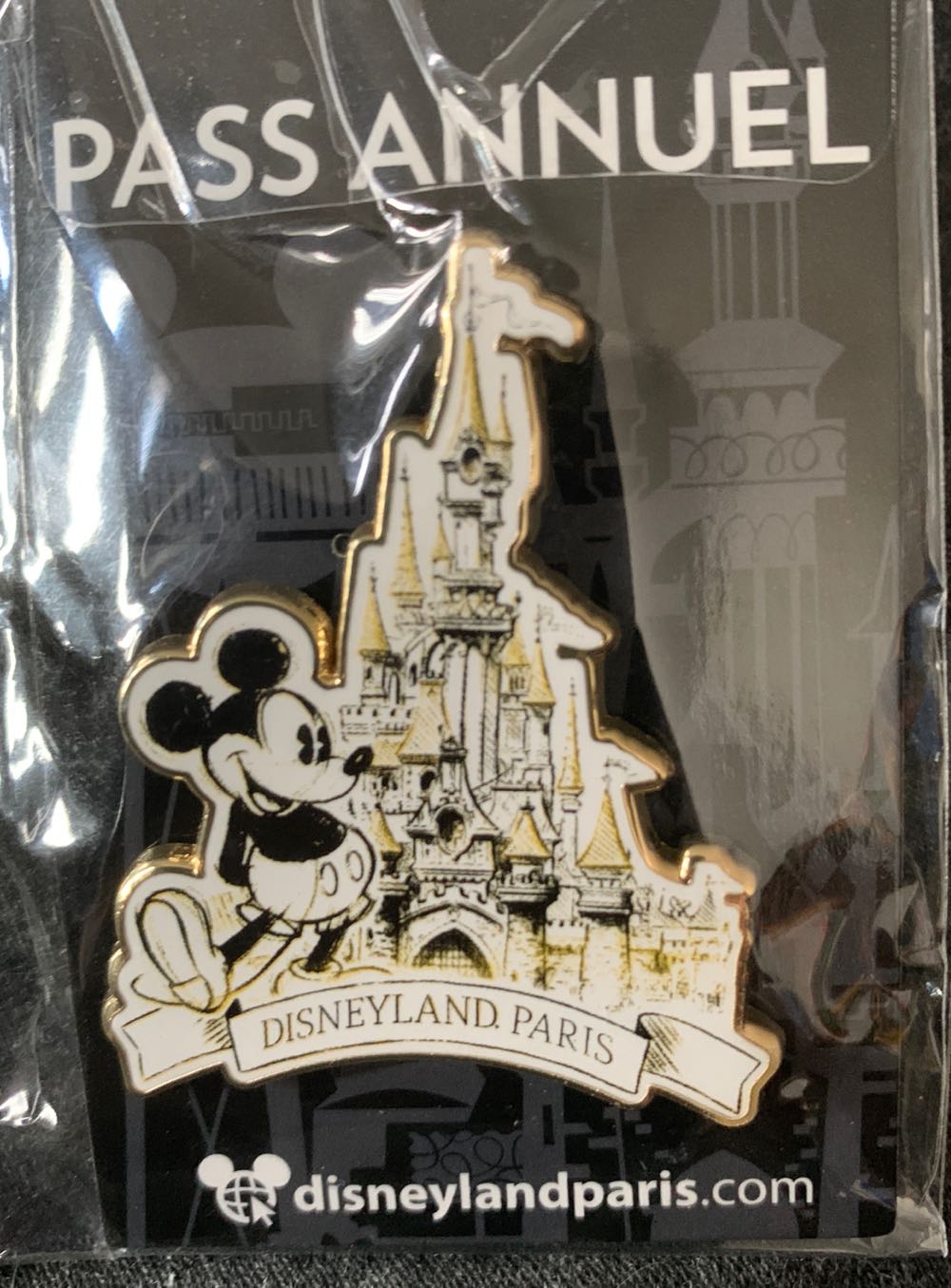 American State - Nevada Daisy Silver State