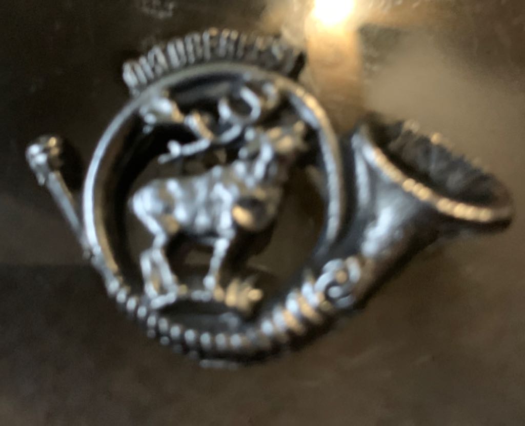 Dream Keel Coin - S. S. Member Cruise (DVC)