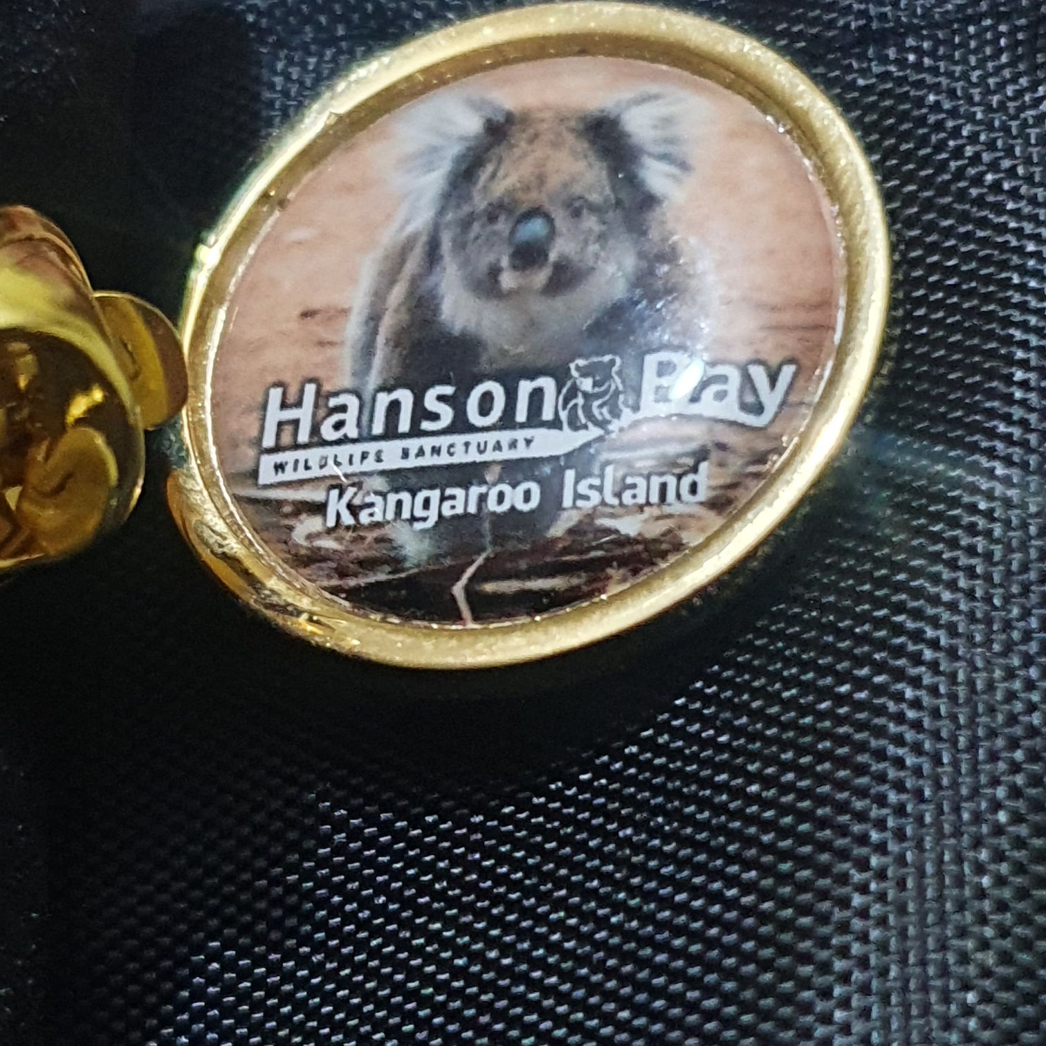 Hanson Bay  pin collectible - Main Image 2