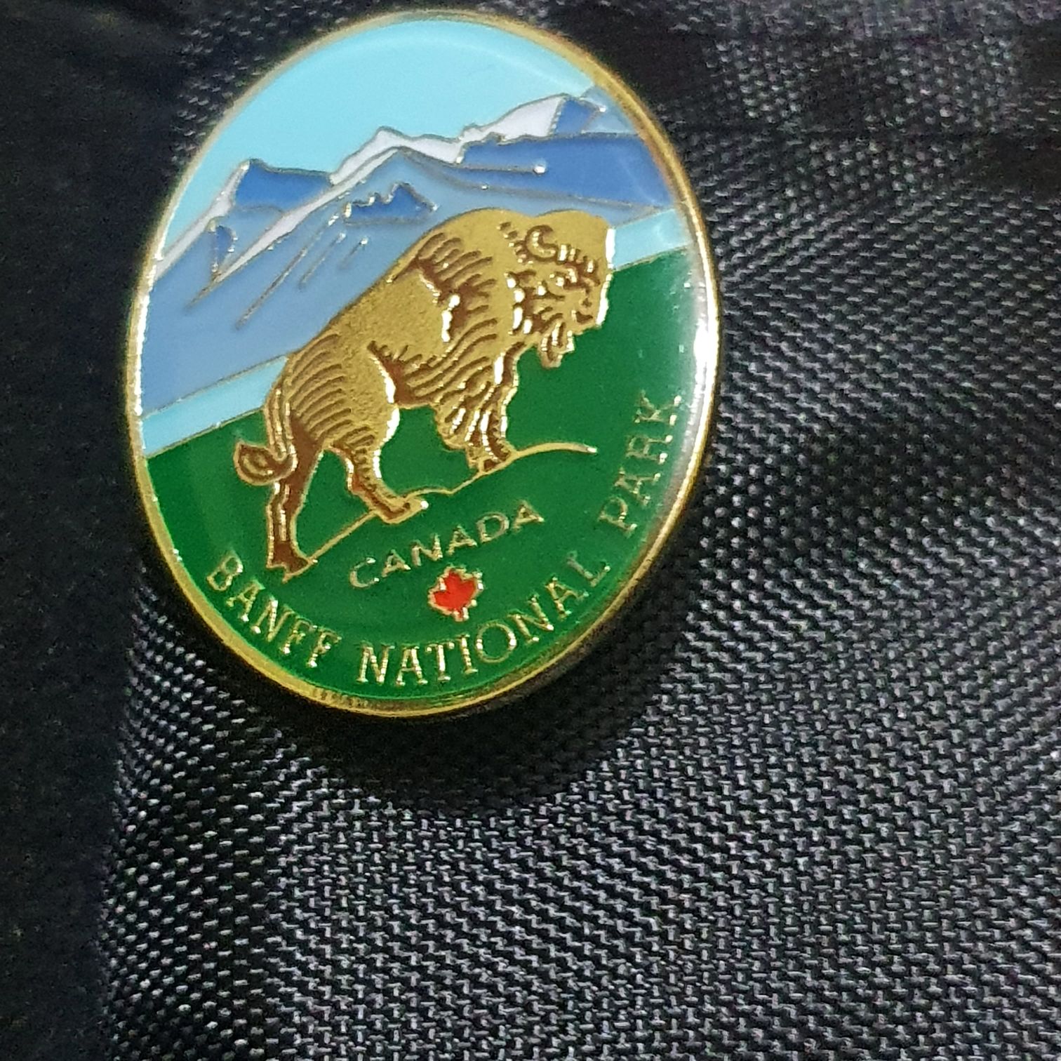 Princess - Shoes Pin Set