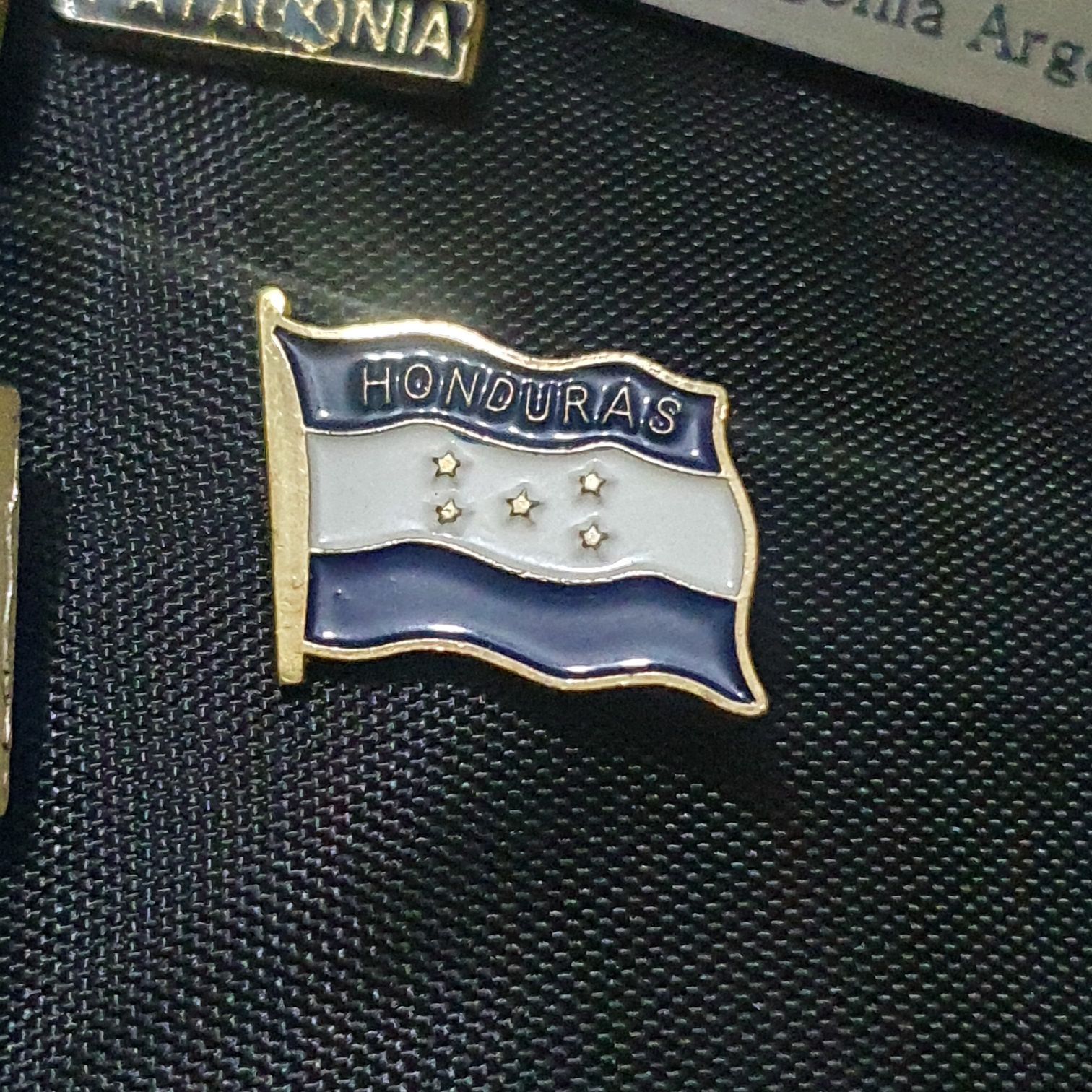 Kitchener Waterloo Oktoberfest 2 Horse Carriage