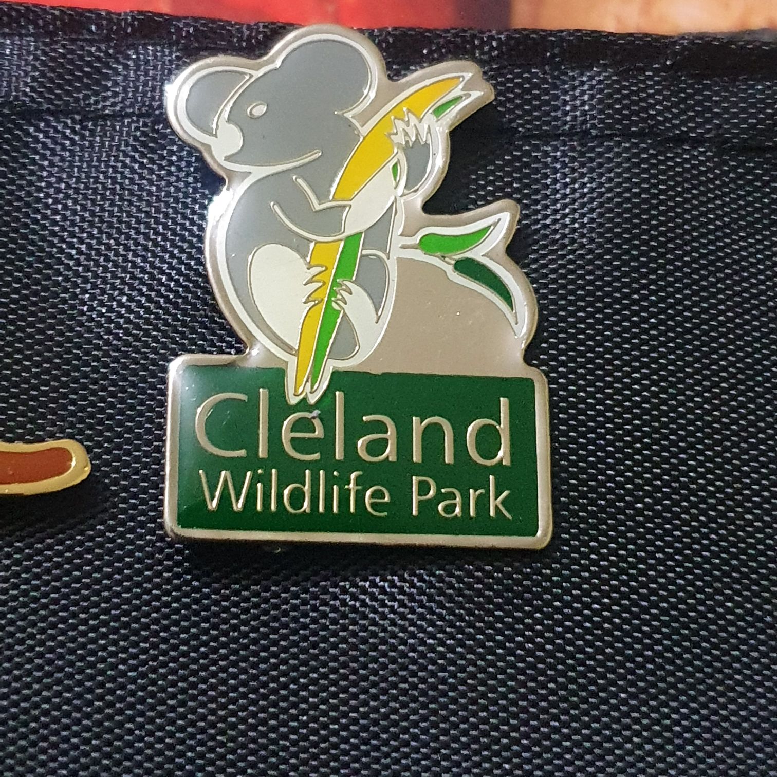 Cleland  pin collectible - Main Image 2