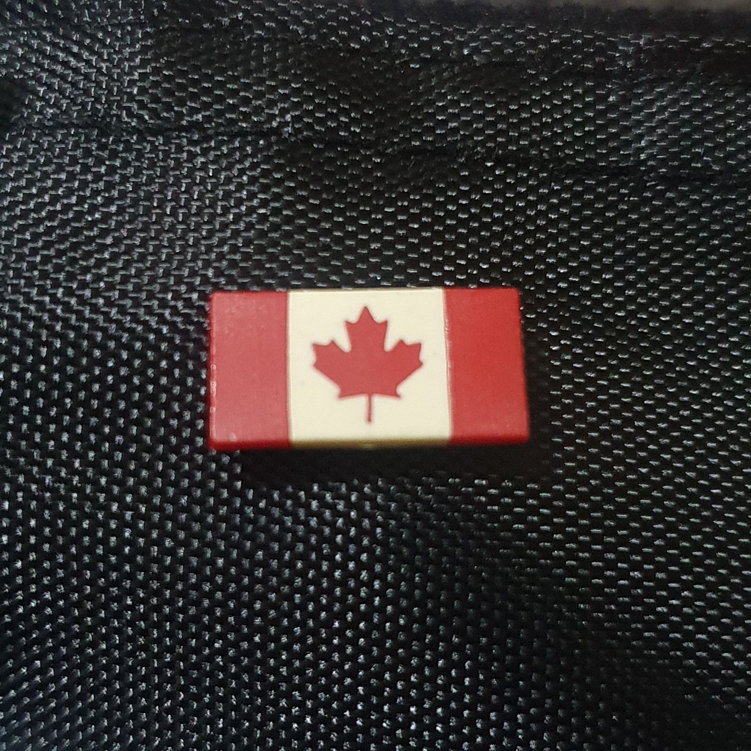 Goofy Limited Edition Gift Card Pin