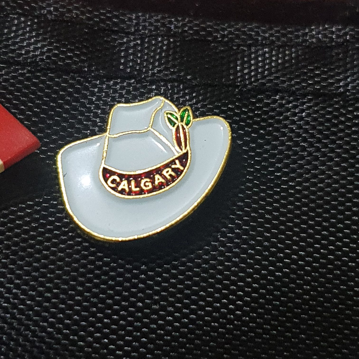 Disneyshopping Halloween 2008 Dragon Pluto