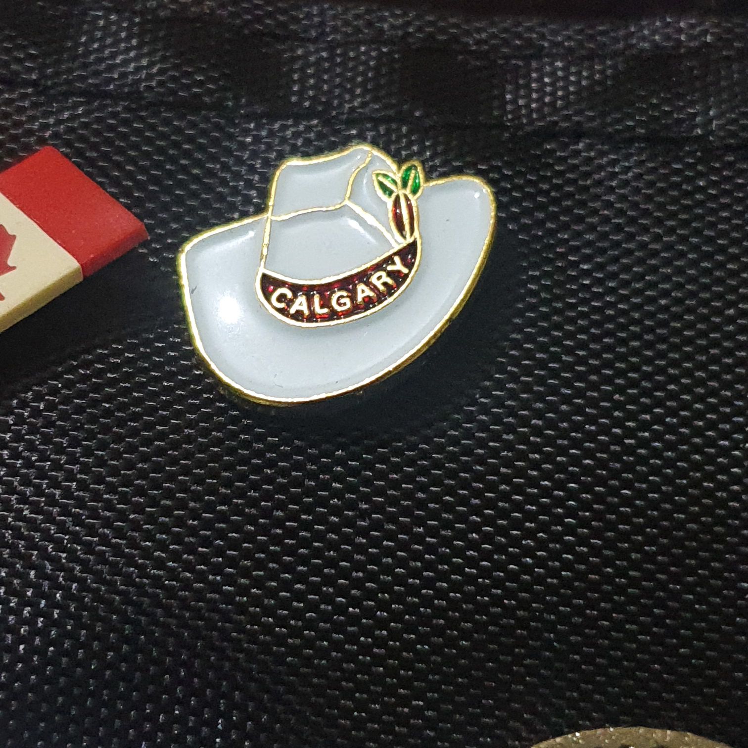 Calgary  pin collectible - Main Image 2