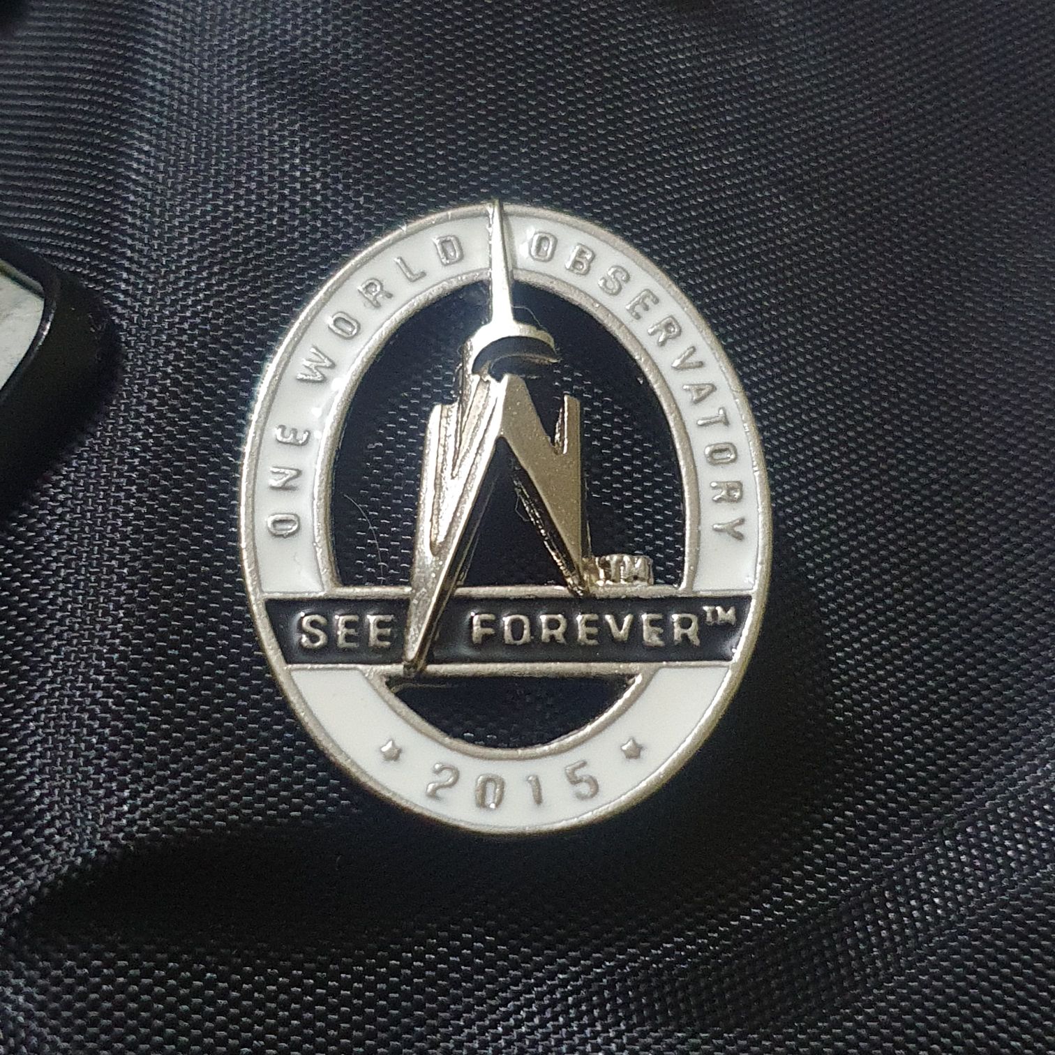 Maleficent Silhouette Face Pin