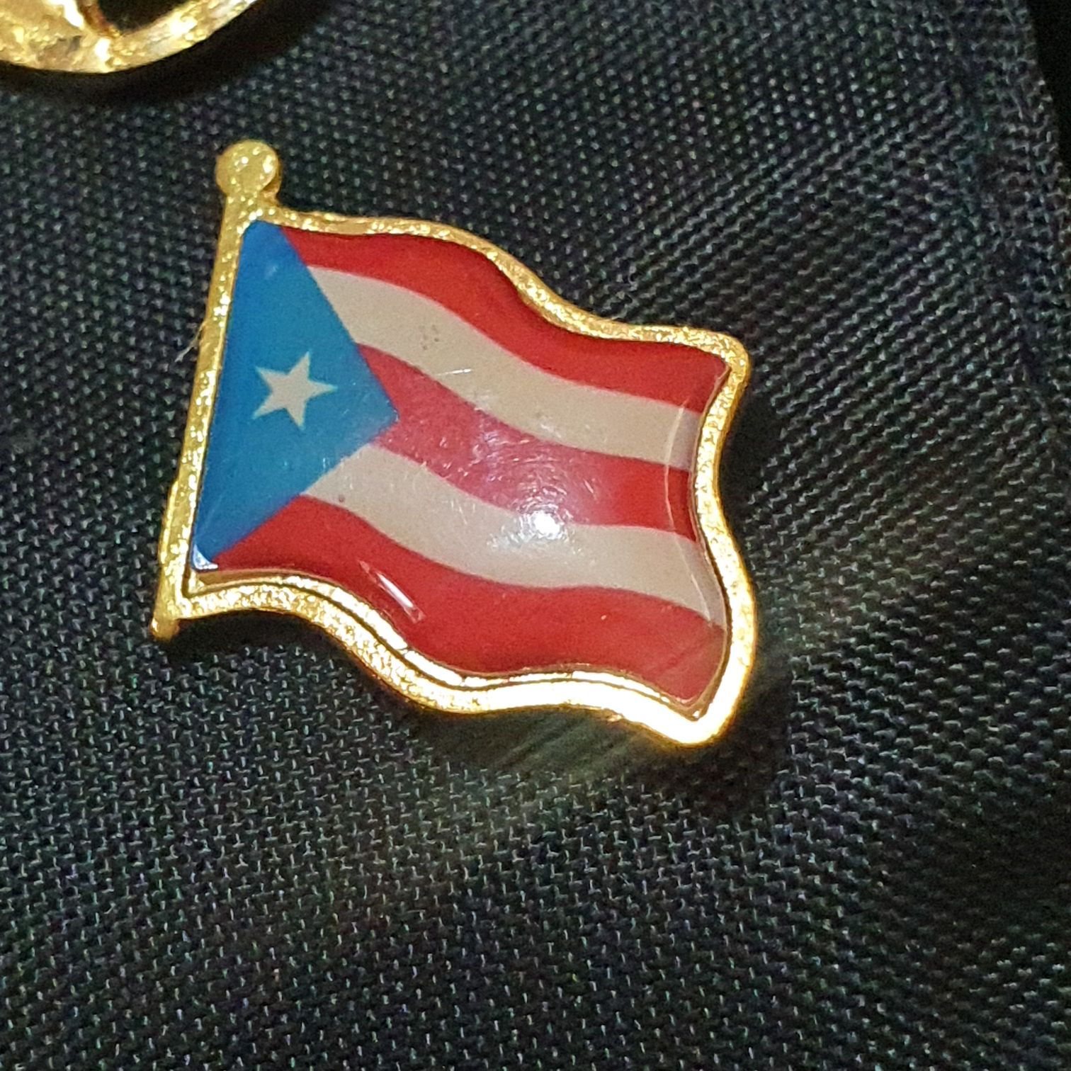 Wdw Annual Passholder Figment On Shield At Epcot