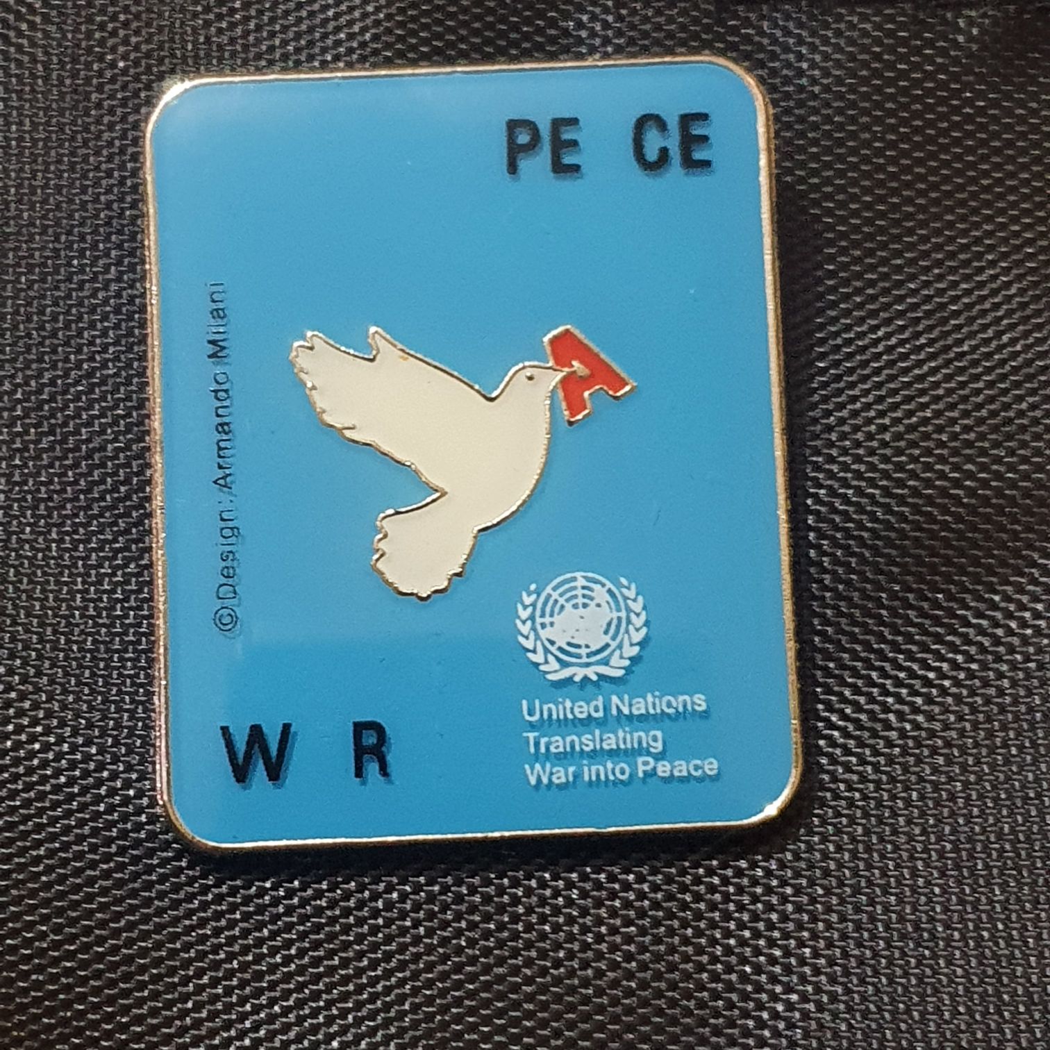 Expedition Everest - I Conquered Everest