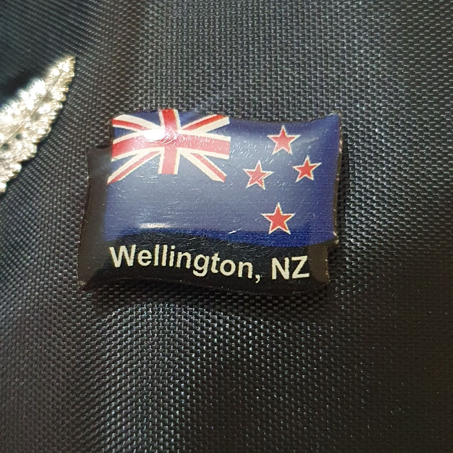 Wellington, NZ  pin collectible - Main Image 2
