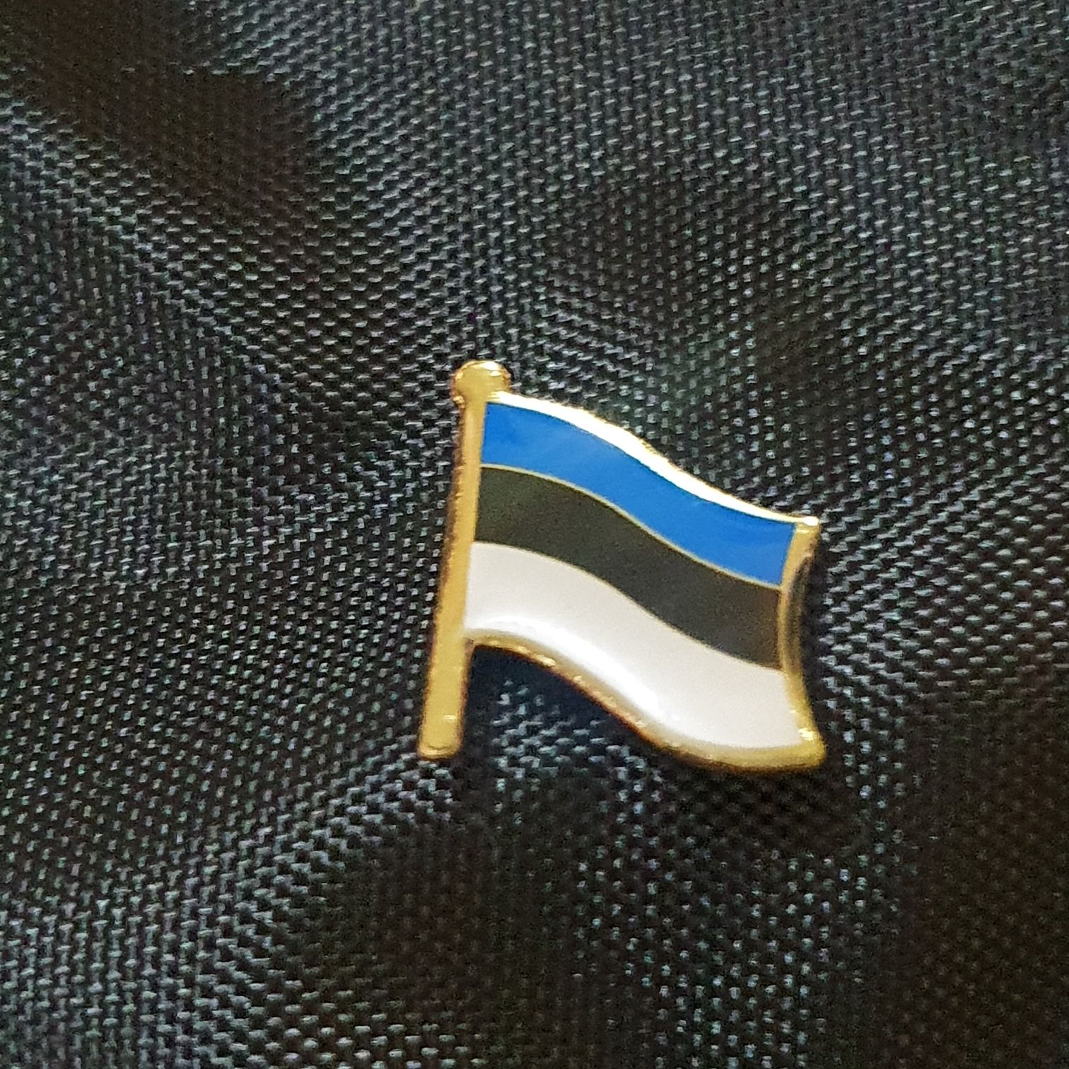 Estonia  pin collectible - Main Image 2