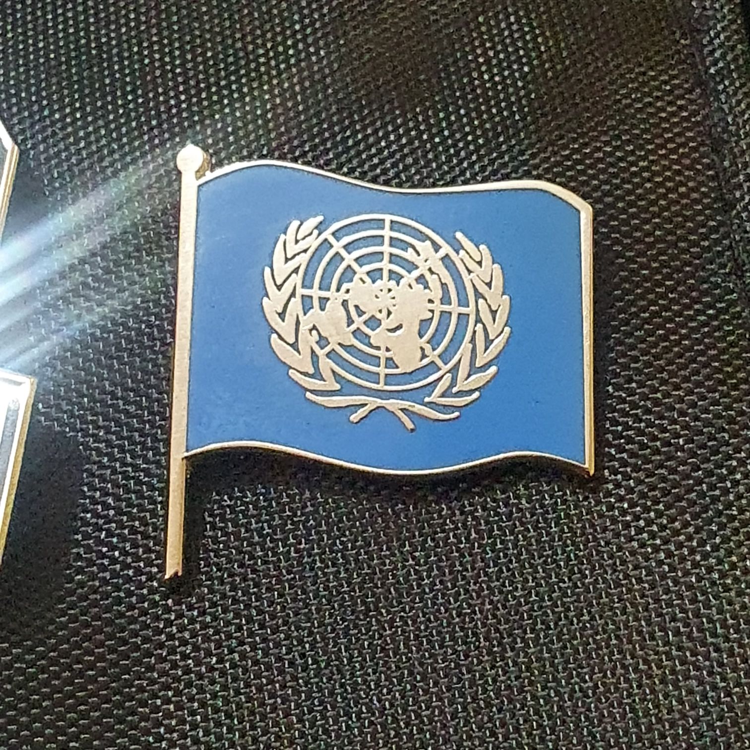 American State - Arkansas Pumbaa Natural State 