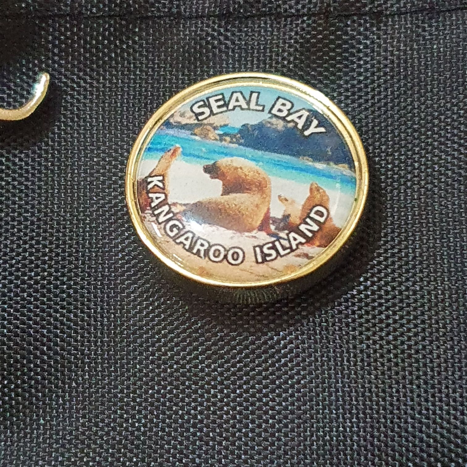 Seal Bay  pin collectible - Main Image 2