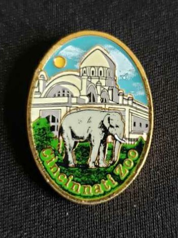 Miguel Movie Club Pin