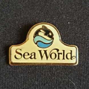 Some Infinites Are Bigger Than Other Infinities