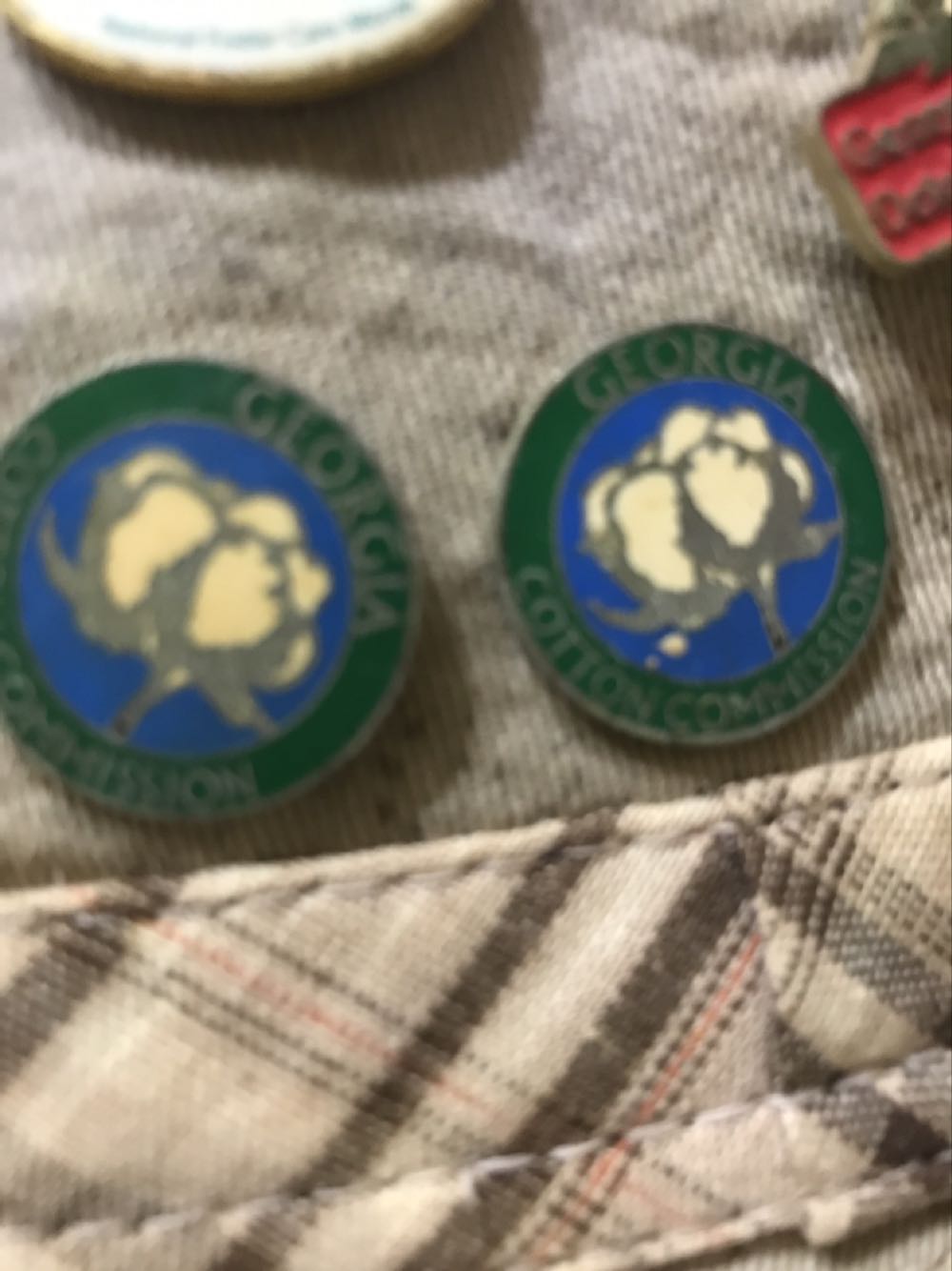 Stain Glass Rose Pin