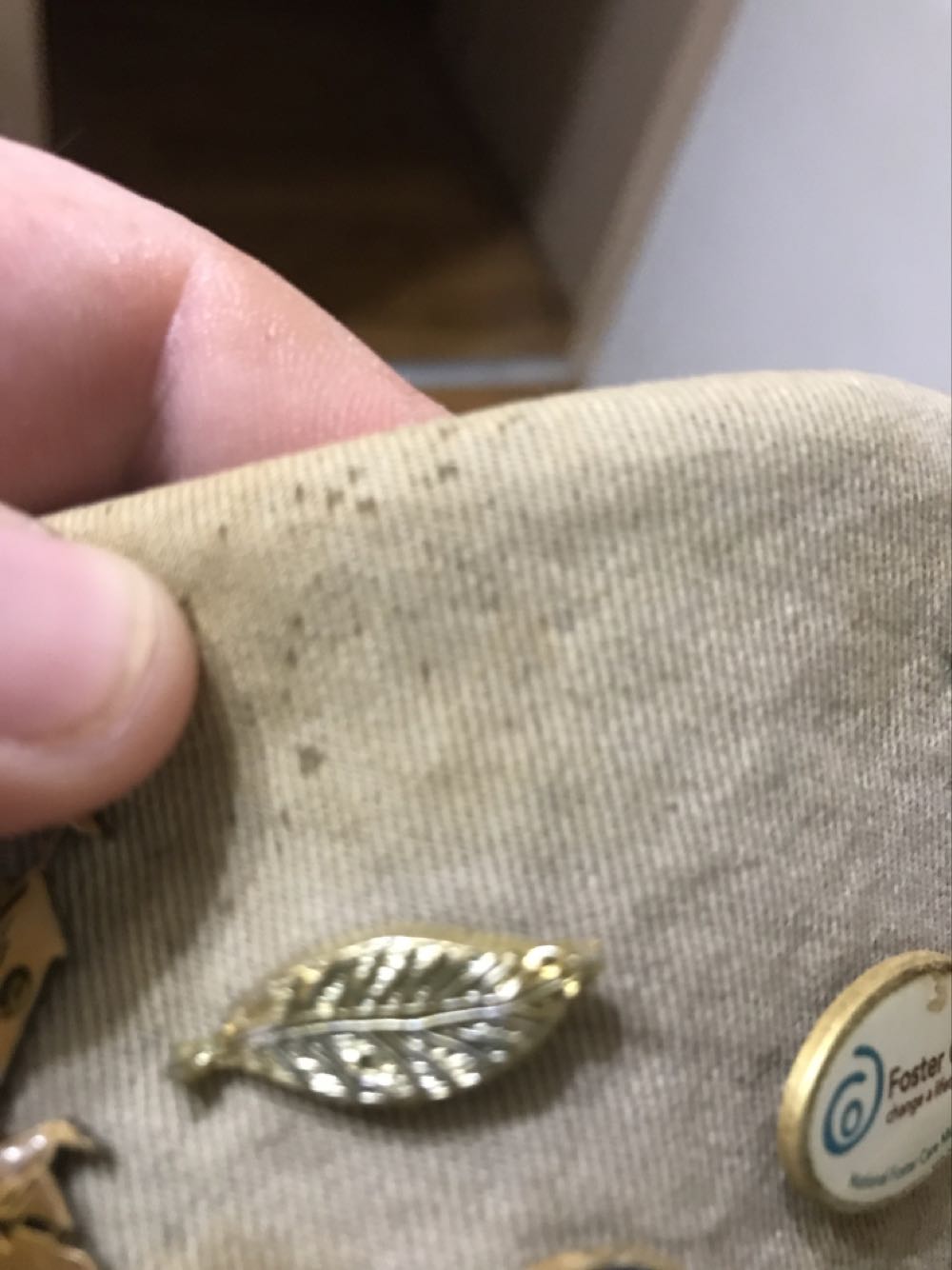 Dream Keel Coin - S. S. Member Cruise (DVC)