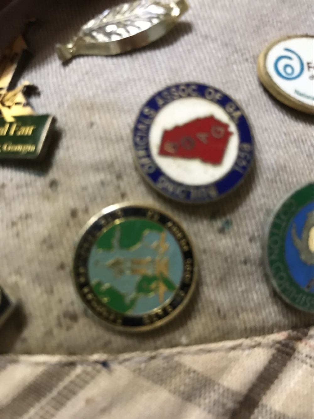 Chromodoris Willani Nudibranch Mermaid