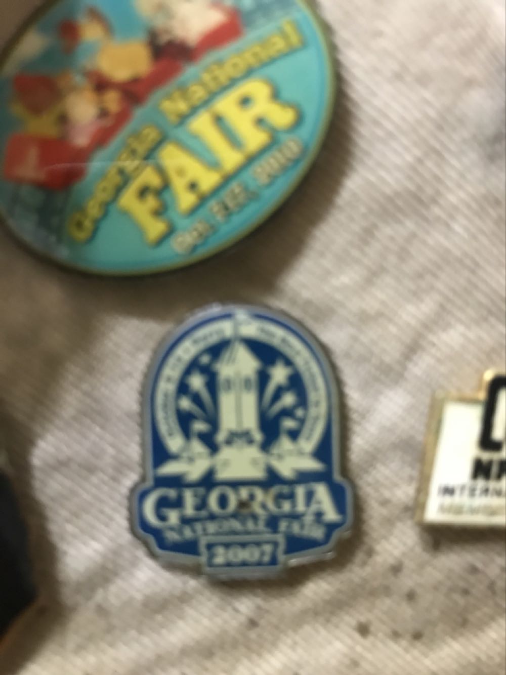 Georgia National Fair  pin collectible - Main Image 1