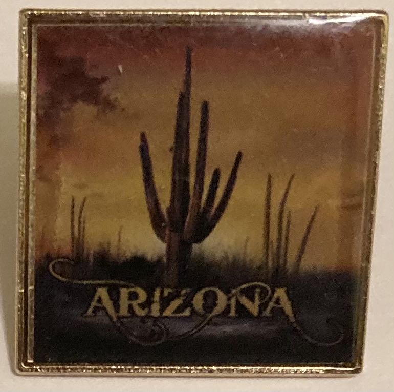 Arizona  pin collectible - Main Image 4
