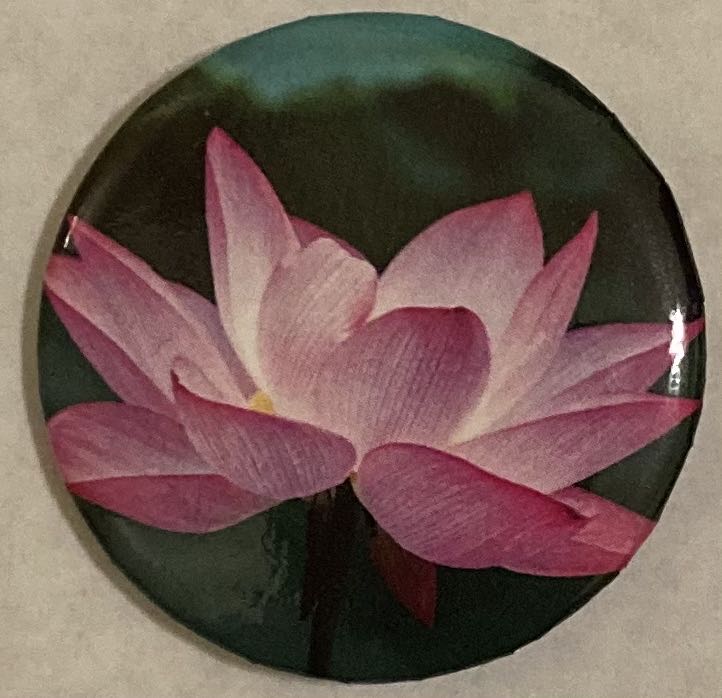 Snow White - In Front Of The Castle