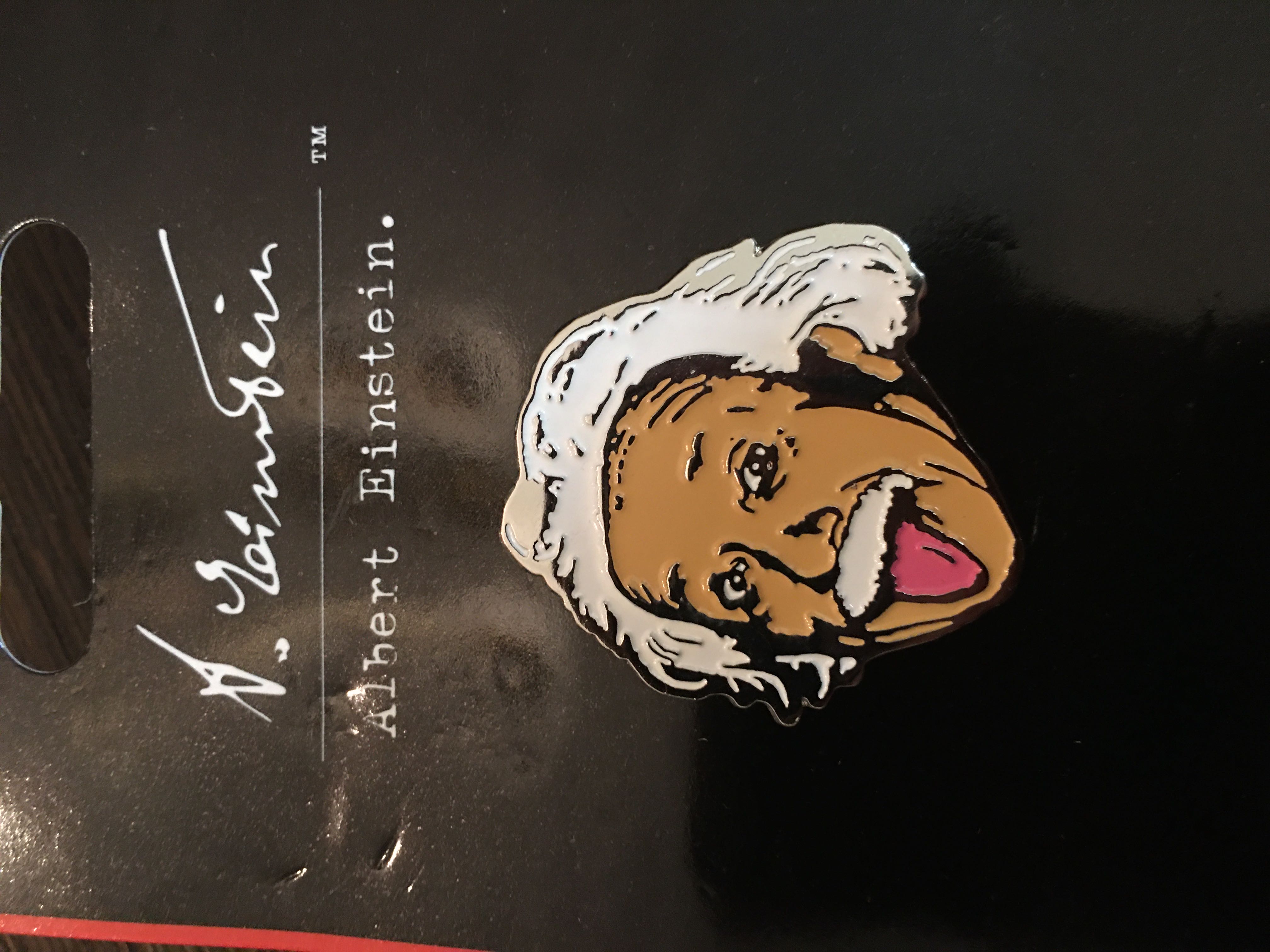 Albert Einstein Soft Enamel Pin   pin collectible - Main Image 2