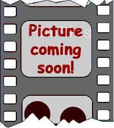 Button - Japan - Jasmine - Princess Set - JDS