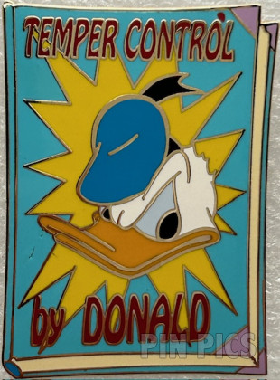 Fantasy - Surfer Tinker Bell