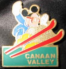 Japan - Chip #1 - Silver Pawn - Chess - JDS