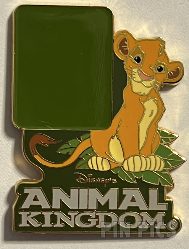 Nagano Coca Cola bottle square logo