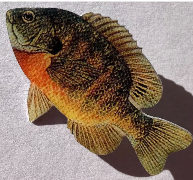 Tinkerbell - 50 Years Adventures Of Tinkerbell Ltd Edition 5000