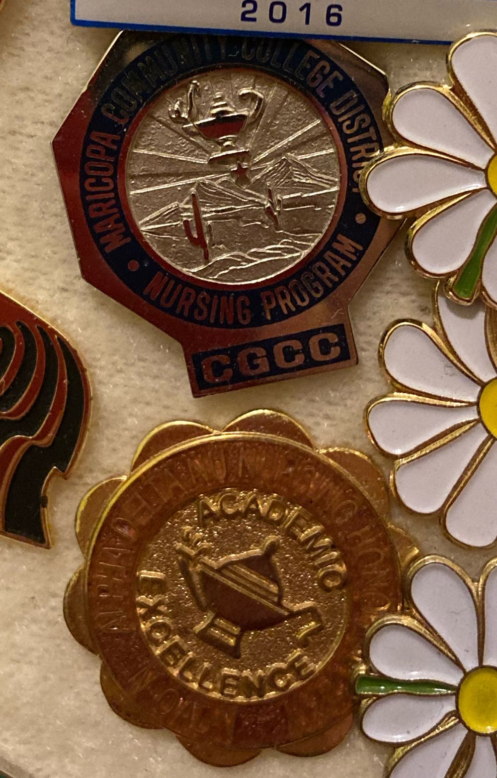 Stitch Holding Pineapple