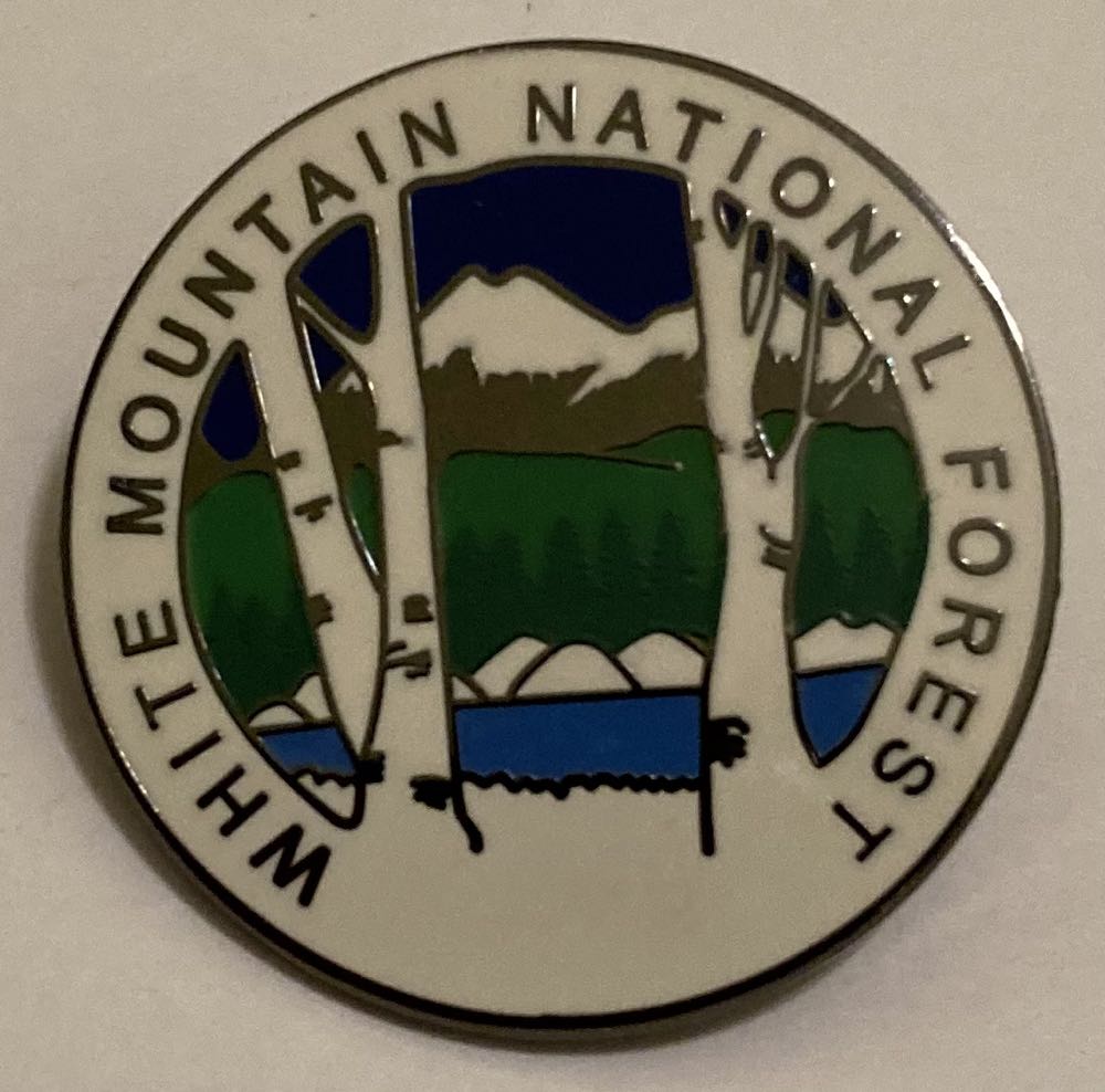 I’m 25 Let’s Celebrate