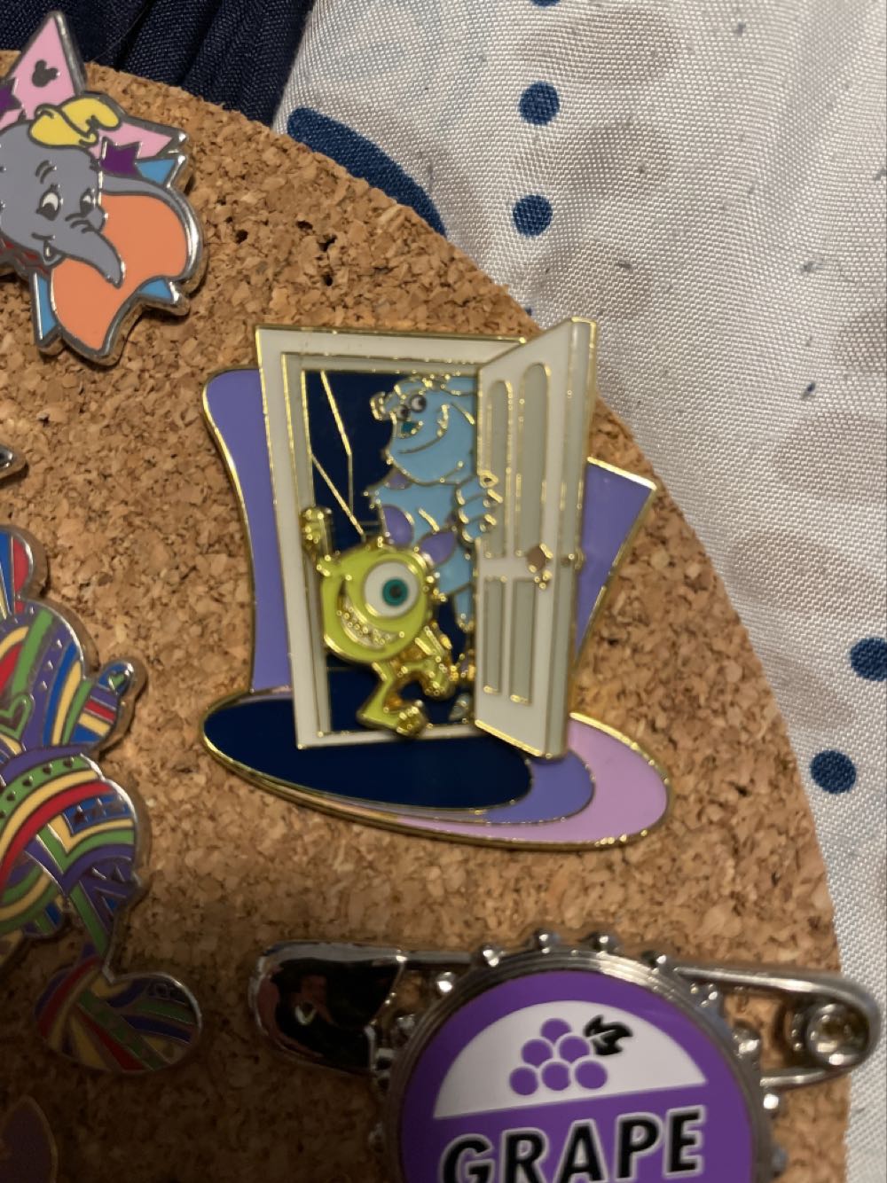 Disney Wildlife Conservation Fund