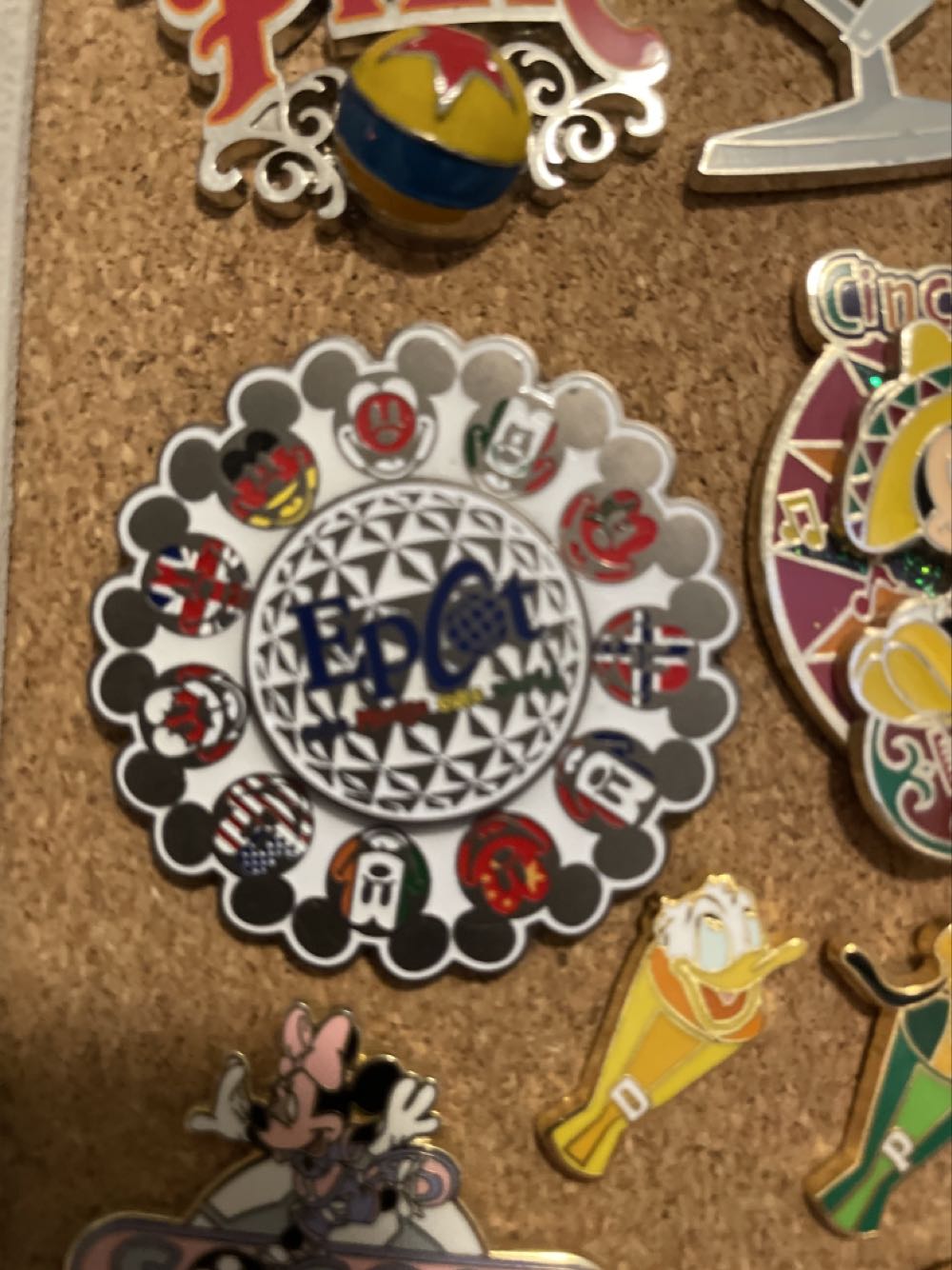 Cincinnati Zoo: Elephant House