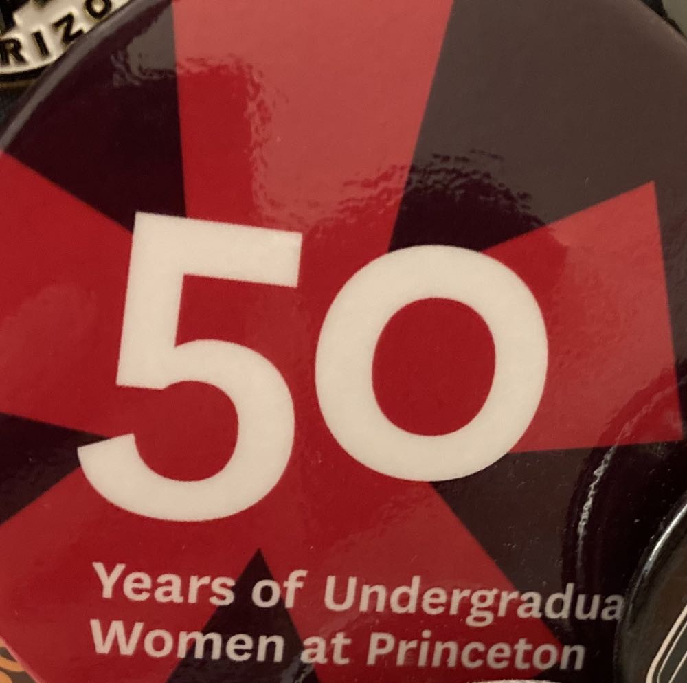 Vinylmation Blank And Bow