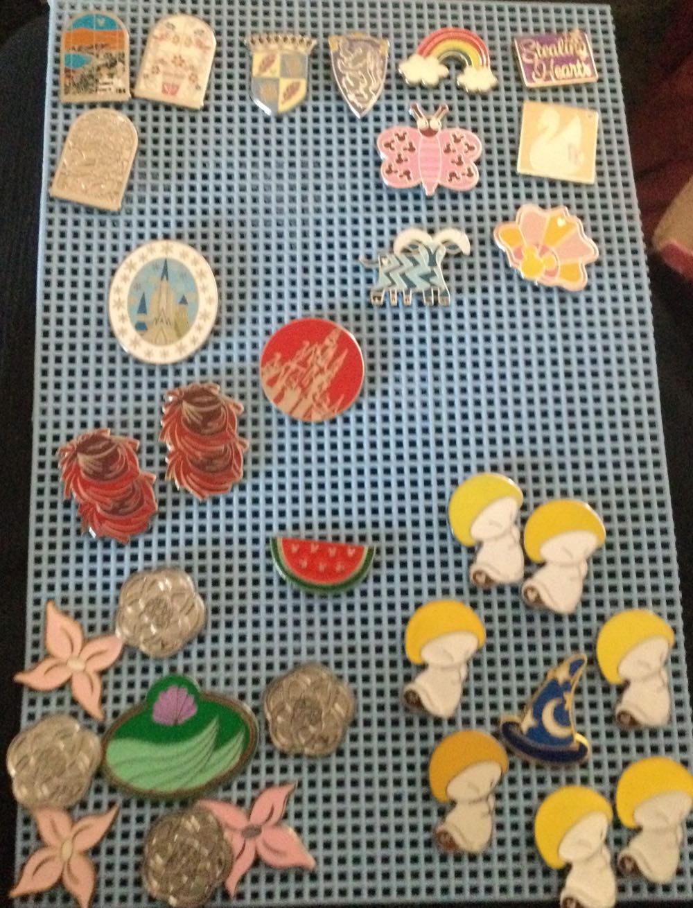 Georgia National Fair