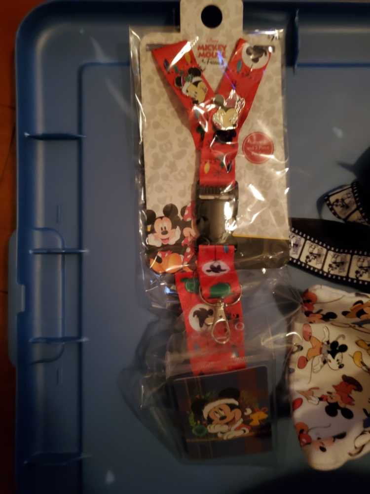Mickey And Minnie Christmas Wreath Bow