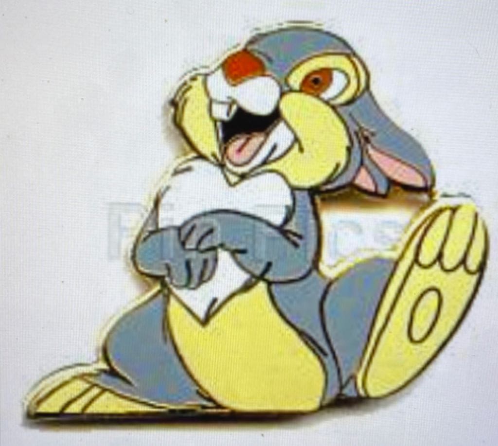 Character Food Mystery Collection - Donald Duck