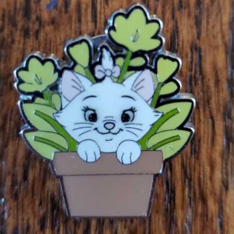 Saratoga Springs Spa & Resort